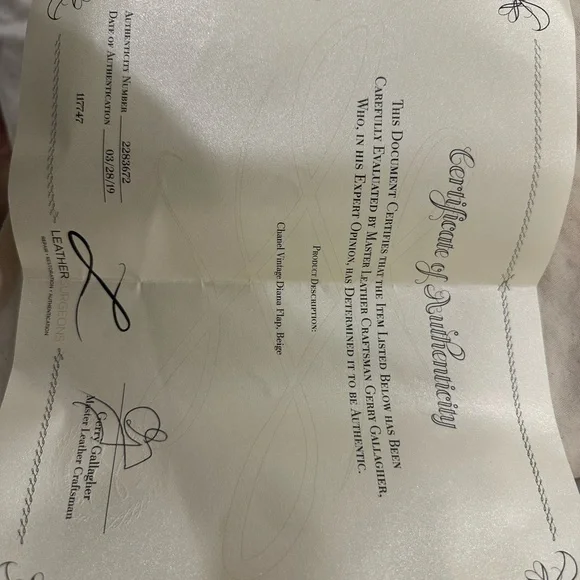 CHANEL Small Diana Beige Shoulder Bag - Picture 12 of 12